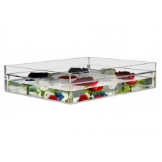 Clear Acrylic False Bottom Tray Centerpiece Table Top Shadow Box 16 x 16 x 4   352043298014